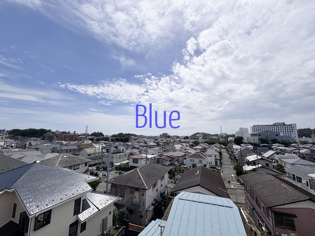 【展望】 | ウェンディ湘南