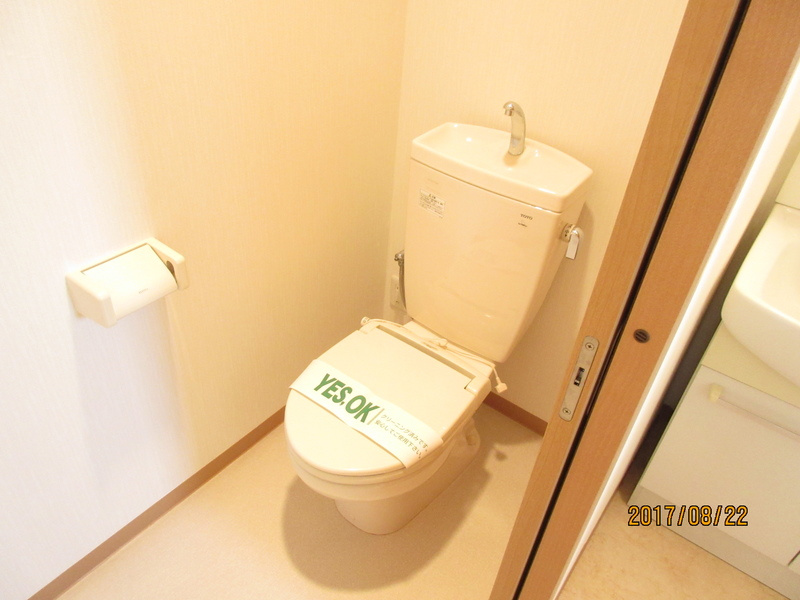 稲城市大丸の賃貸マンションのトイレ