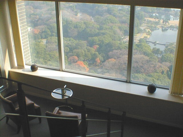 東京ツインパークス レフトウィングのその他