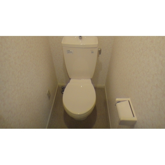 ロッシェル橋本６のトイレ|別号室参考写真