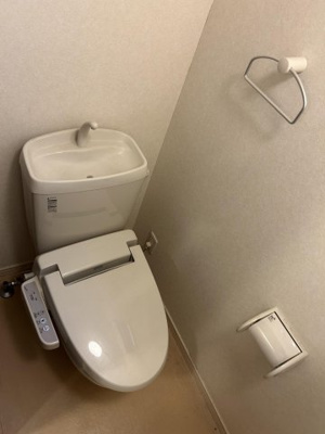バス