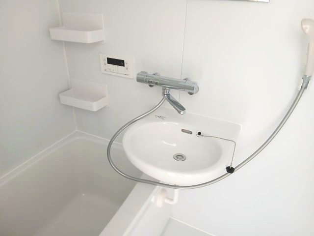 ハイム神山の洗面所