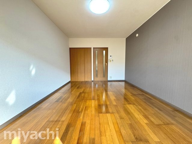 徳島市川内町榎瀬の賃貸マンションの居間・リビング
