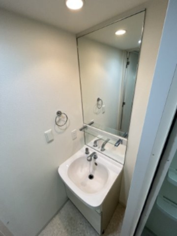 プレサンス難波セレクトの洗面所