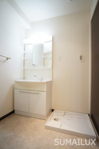熊本市南区御幸笛田２丁目の賃貸マンションの洗面所