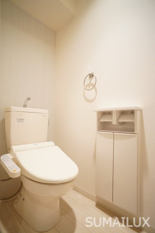 熊本市南区御幸笛田２丁目の賃貸マンションのトイレ