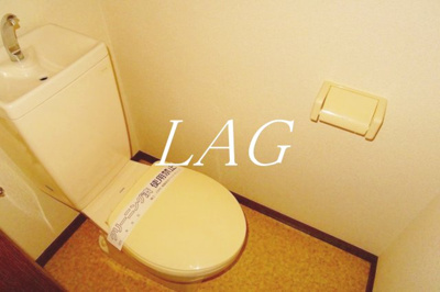 【トイレ】 | メイプル60  | トイレです。