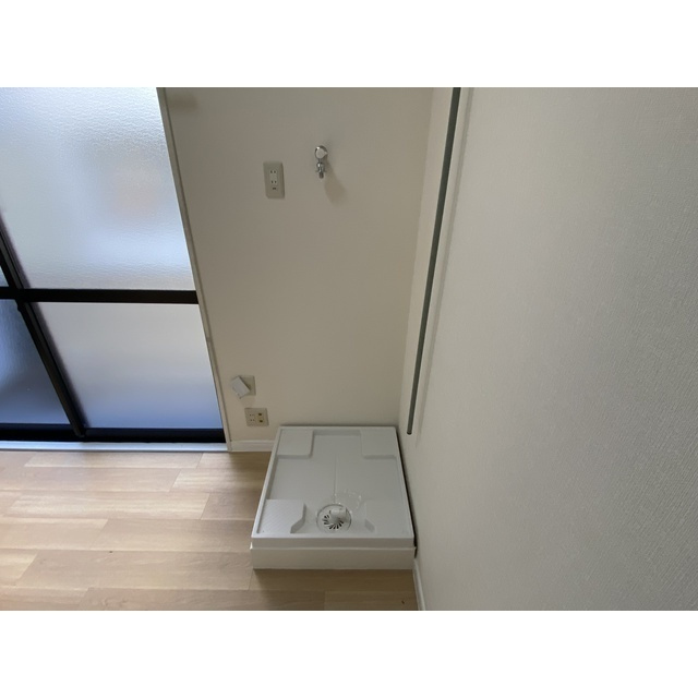 オリーブのその他
