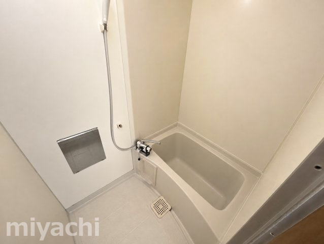 板野郡藍住町矢上字原の賃貸マンションの浴室