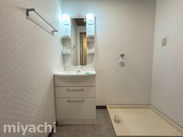 板野郡藍住町矢上字原の賃貸マンションの洗面所