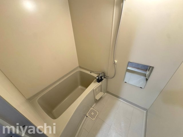 板野郡藍住町矢上字原の賃貸マンションの浴室
