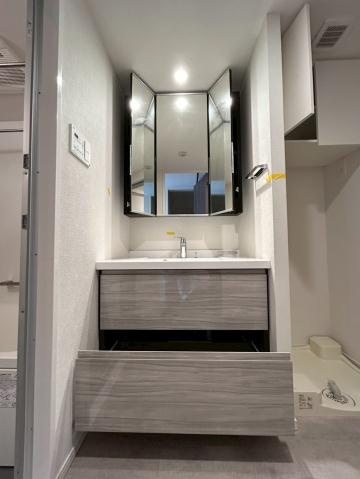 豊島区南大塚２丁目の賃貸マンションの独立洗面台