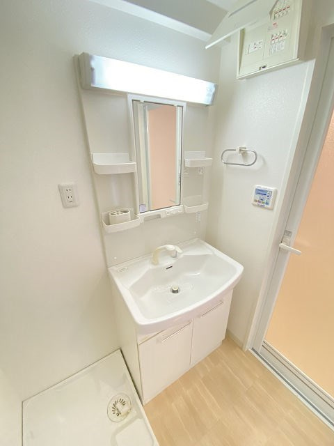 クレスト園田の洗面所