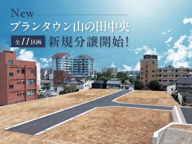 プランタウン山の田中央