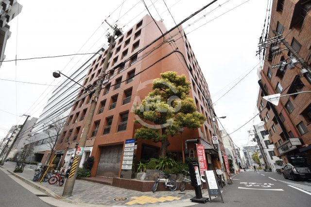 西青山ハイツの外観|西青山ハイツ　外観