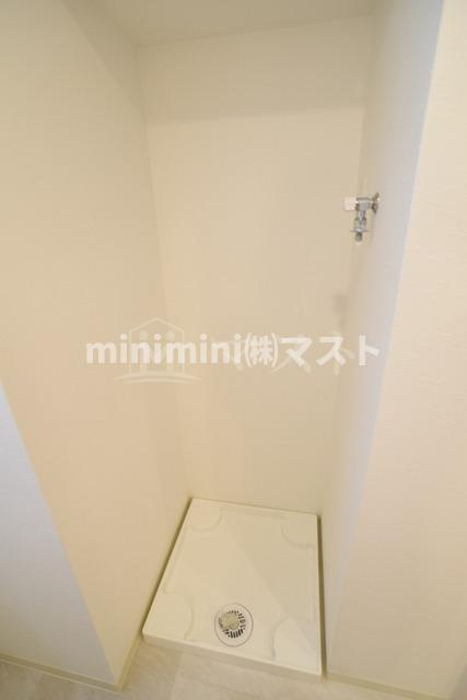 プレジオテンマのその他