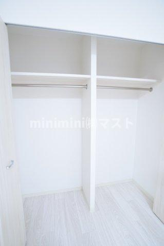 プレジオテンマの収納