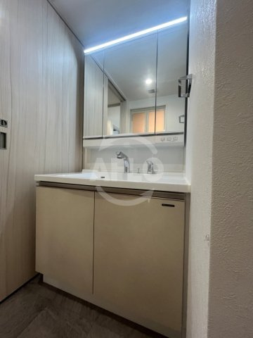 ソルテラスUMEDA NORTHの独立洗面台