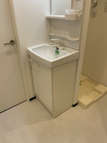 ルテナント西新井の洗面所