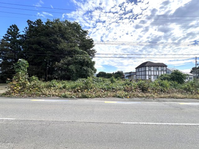 花巻市石鳥谷町西中島第１地割　土地の外観