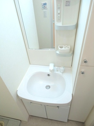 世田谷区豪徳寺１丁目の賃貸マンションの洗面所
