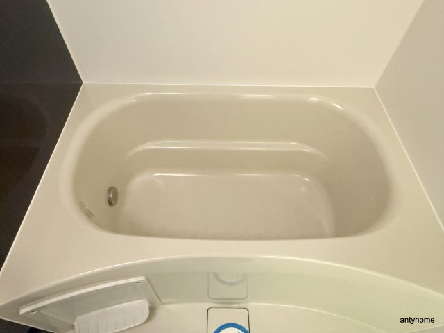 コンフォリア阿波座　仲介手数料無料の浴室