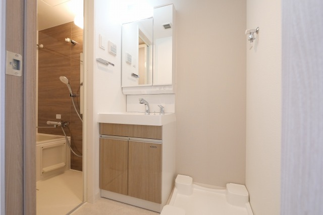 S-RESIDENCE高井田beletaの洗面所