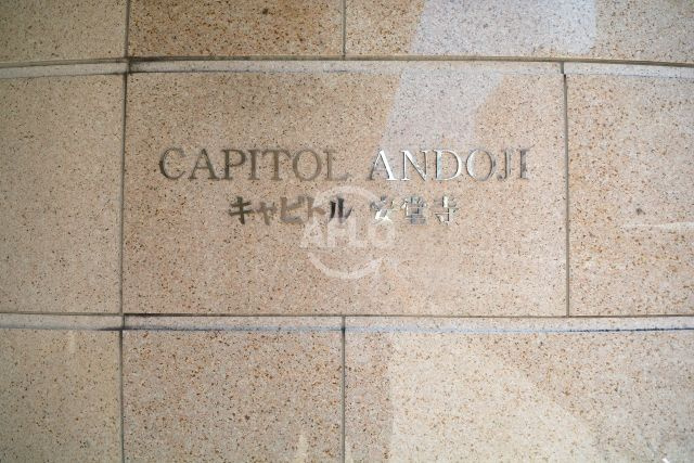 キャピトル安堂寺のその他共用部分