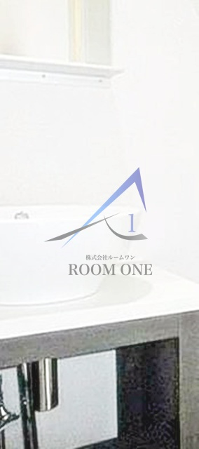 ラグジュアリーアパートメント赤羽西＃０２の洗面所|洗面台です。