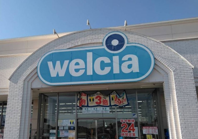 ウエルシア高崎棟高店 徒歩4分。 270m