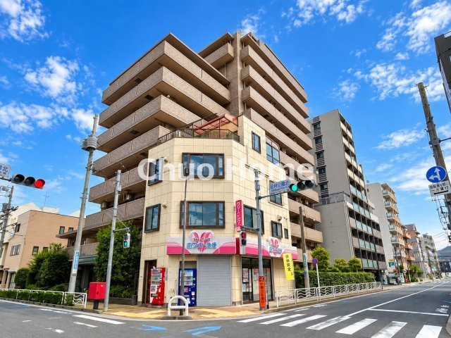 ライオンズマンション錦糸町・恩賜公園の外観|1995年3月築。ペットの飼育可能マンションです。