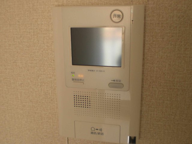 レオネクストル　ヴァン　ブルーのその他
