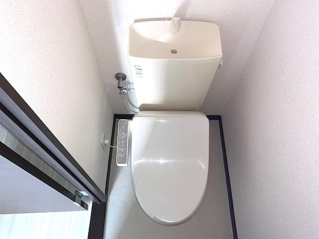レオネクストル　ヴァン　ブルーのその他