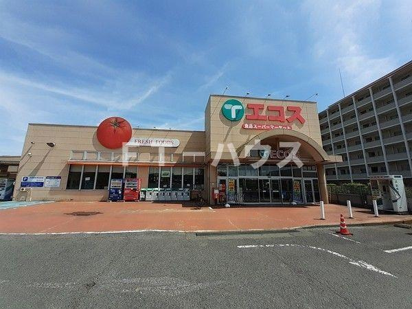 Ｃｅｎｔｕｒｙ　Ｈｉｌｌｓのその他