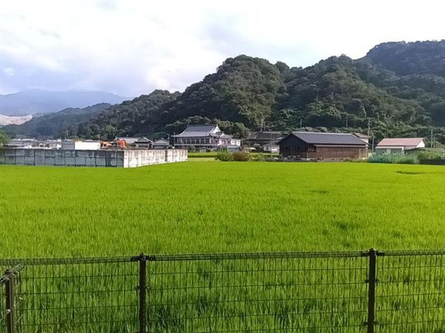 フィネス阿島の展望