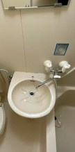 ソワール上柴Aの洗面所
