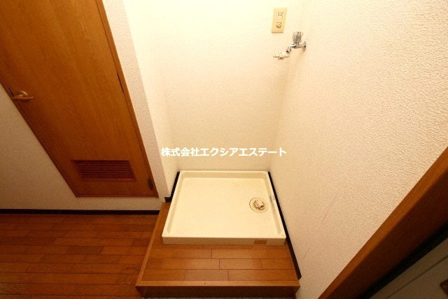 ステラのその他