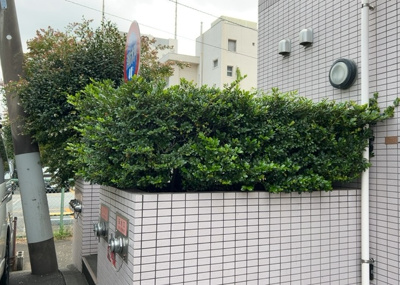 【中庭】 | プレール本厚木弐番館 | 共用部分の緑や敷地内の配置は、居住者様の快適な暮らしを支える工夫が施されています。日々の暮らしの中で落ち着きを感じられる整備された環境となっておりますので、内見時には敷地全体をご確認いただけます。