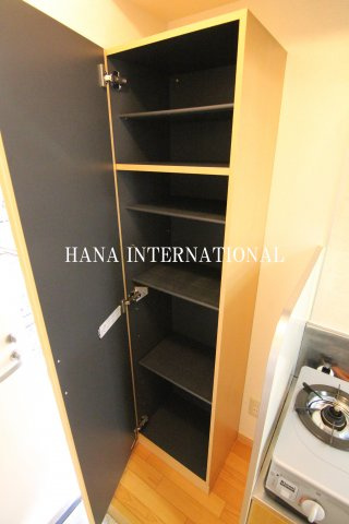 リリーテラスAの収納