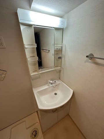 ブルーム山之手の洗面所
