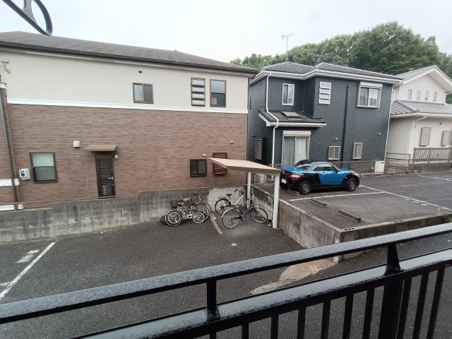 さくらの展望