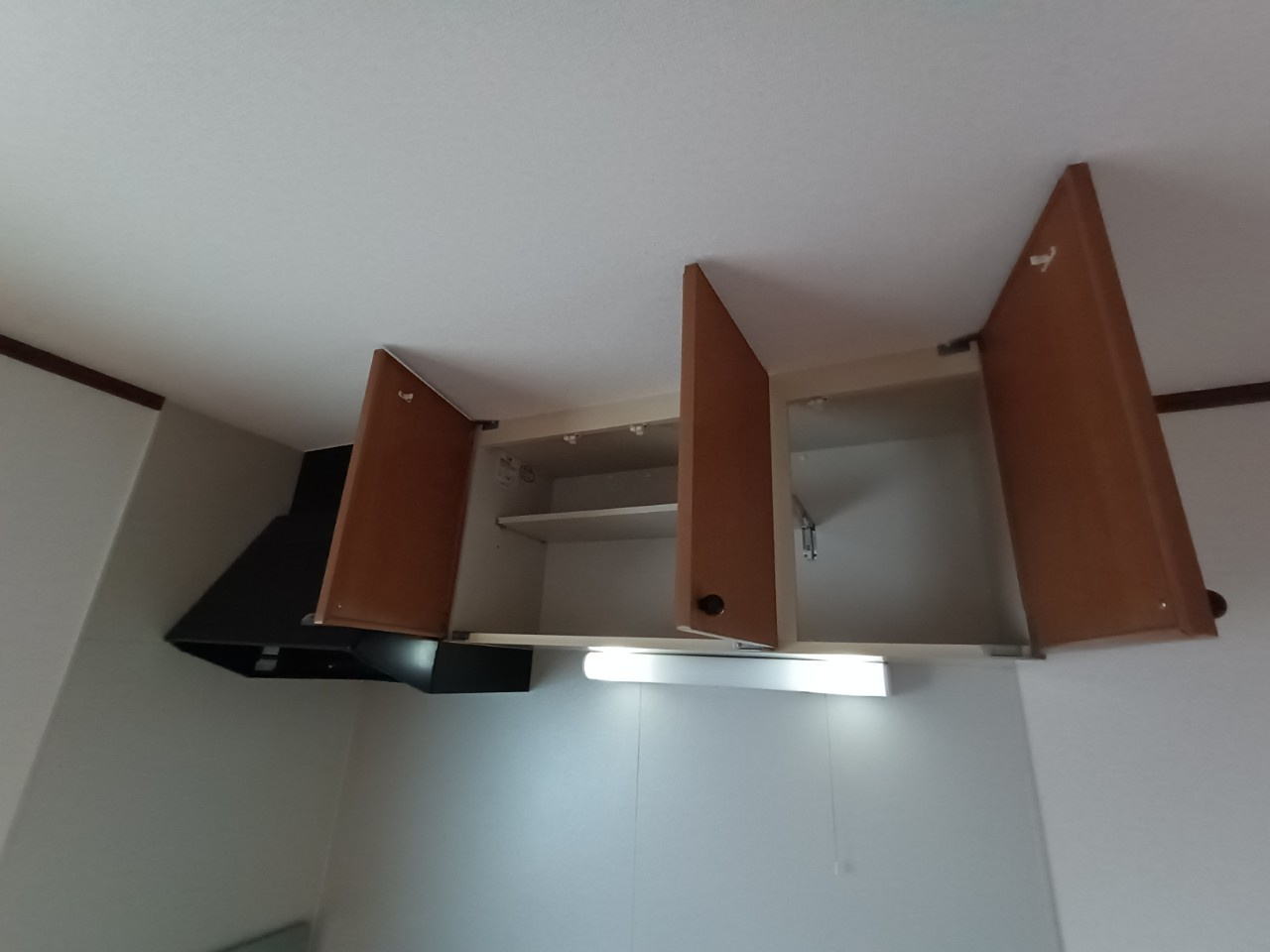 さくらの内装