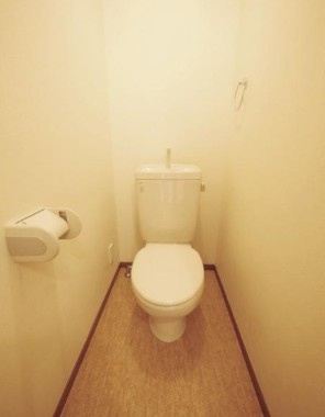 メゾン・ドー赤羽のトイレ|※別部屋参考写真