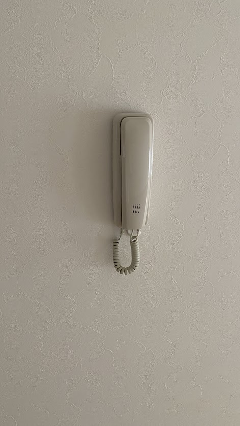 東四つ木貸家のその他