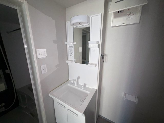東大阪市大蓮北４丁目のハイツの独立洗面台