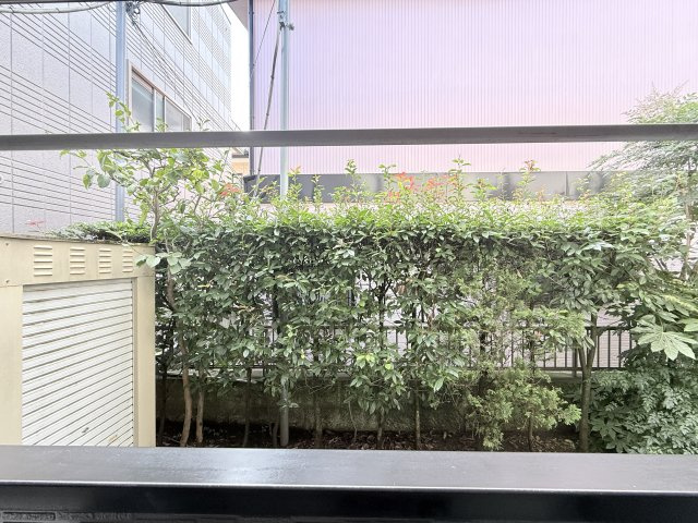 【展望】 | ウィスタリア