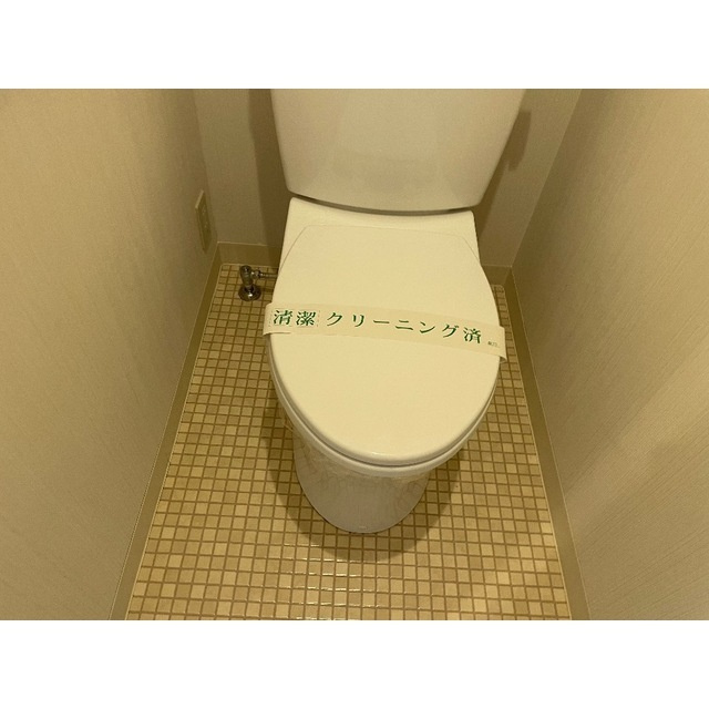 コンパクトで使いやすいトイレです