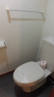 清潔感のあるトイレです