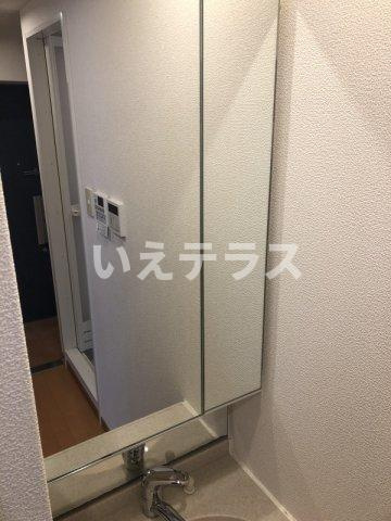 エステムコート新神戸エリタージュの洗面所