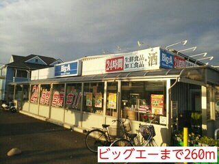 ネオグレイスの周辺|ビッグエーまで260m